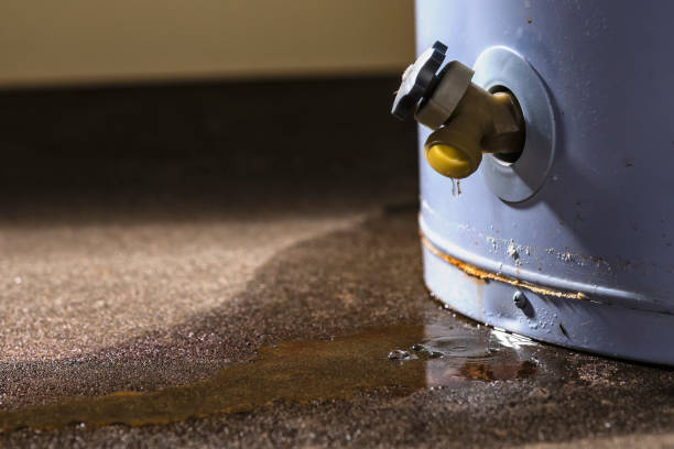 Best Flood damage cleanup  in Maywood, IL