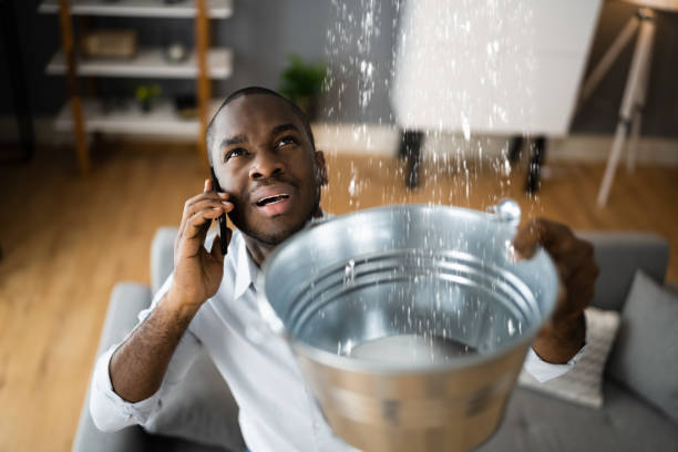 Best Carpet water damage restoration  in Maywood, IL
