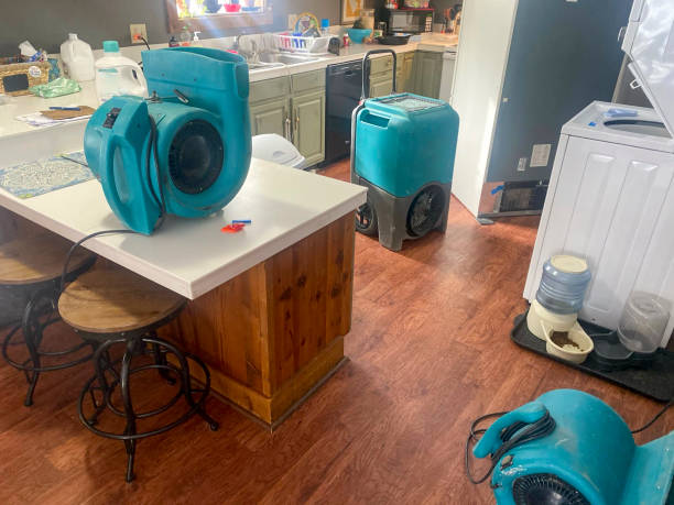 Best Carpet water damage restoration  in Maywood, IL