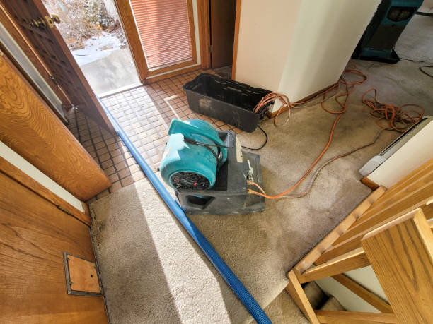 Best Basement water damage restoration  in Maywood, IL