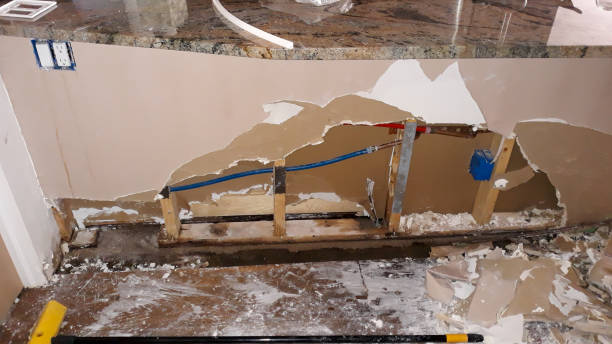 Best Flooded house restoration  in Maywood, IL