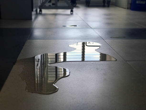 Best Commercial water damage restoration  in Maywood, IL