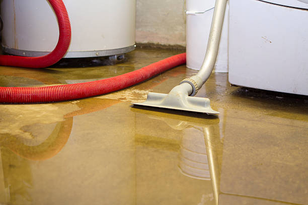 Best Water damage restoration near me  in Maywood, IL