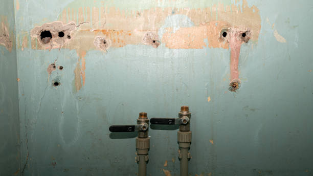 Best Flood damage cleanup  in Maywood, IL